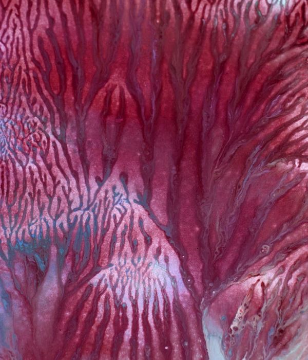 Abstract representation of masculine energy and strength through movement